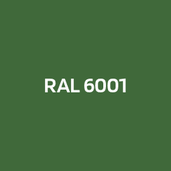 RAL 6001 Vert émeraude