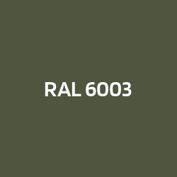 RAL 6003 Vert olive